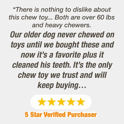 Nylabone Power Chew Textured Dog Chew Ring Toy