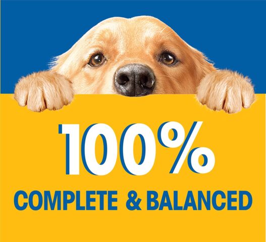 Pedigree Choice Cuts in Gravy Adult Wet Dog Food Variety Packs, 3.5 Oz. Pouches