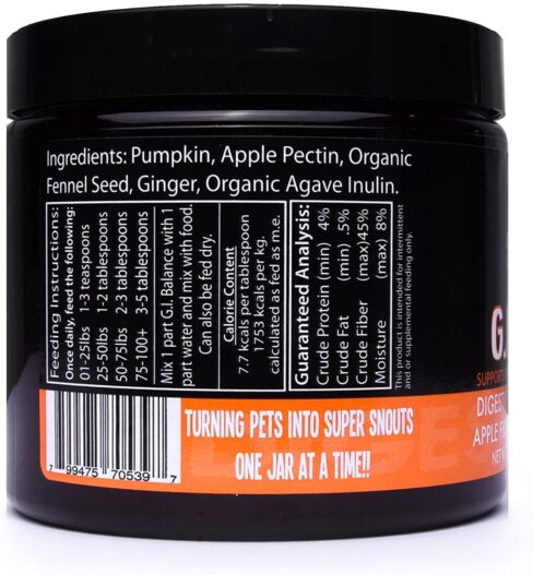 Super Snouts Combo Pack for Dogs & Cats - Urinary Berry Supplement (2.64 oz) and G.I. Balance Digestive Supplement (3.5 oz)