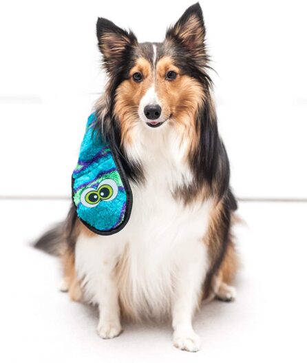 Outward Hound Invincibles Dog Toy - Stuffingless Squeaky Plush Dog Toy
