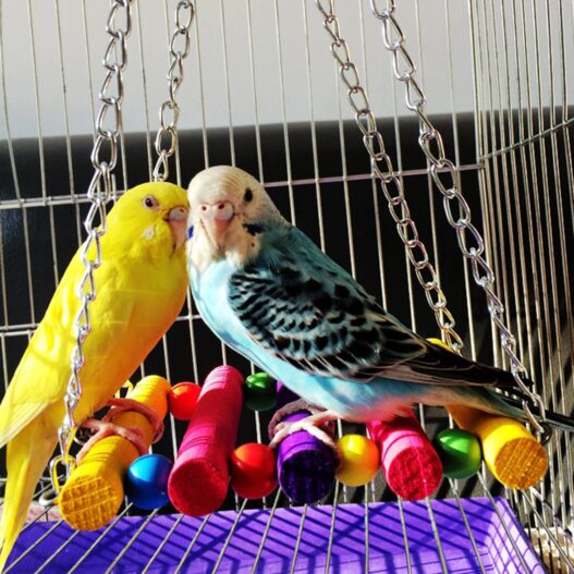 BWOGUE 5pcs Bird Parrot Toys Hanging Bell Pet Bird Cage Hammock Swing Toy Hanging Toy for Small Parakeets Cockatiels, Conures, Macaws, Parrots, Love Birds, Finches