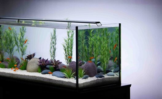 Current USA Satellite Freshwater LED Plus Light for Aquarium