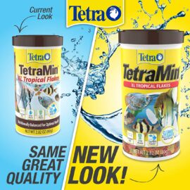TetraMin Large Tropical Flakes For Top or Mid Feeders