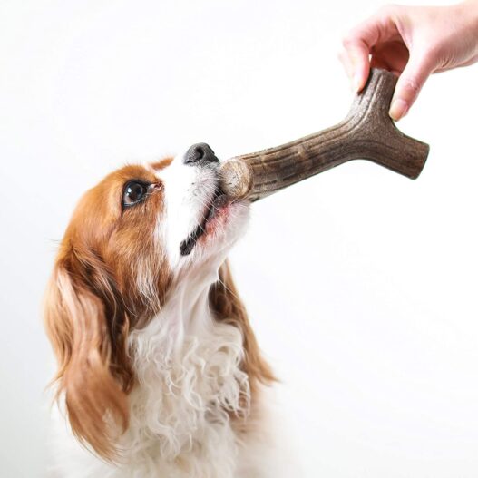 Benebone Maplestick/Bacon Stick Durable Dog Chew Toy for Aggressive Chewers, Made in USA
