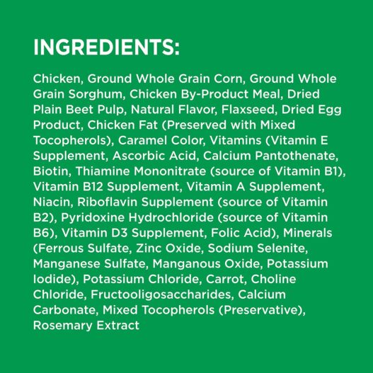IAMS PROACTIVE HEALTH Minichunks Dry Dog Food, Chicken