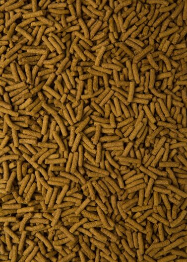 Wardley Premium Amphibian and Reptile Sticks
