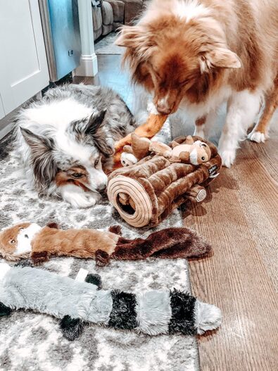 ZippyPaws - Skinny Peltz No Stuffing Squeaky Plush Dog Toy, Fox, Raccoon, and Squirrel - Large