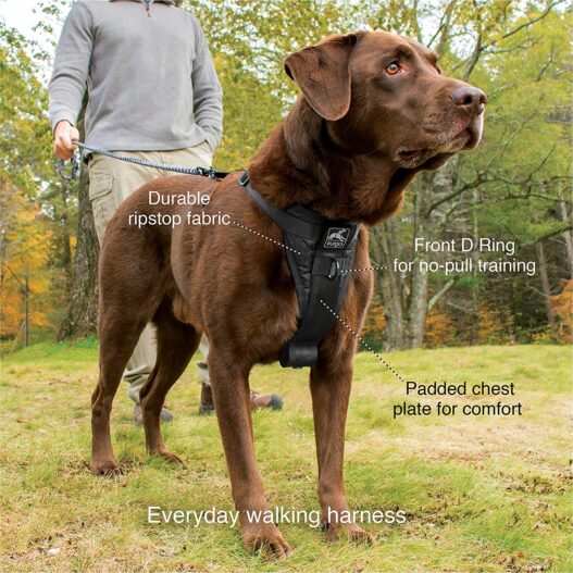 Kurgo Dog Harness | Pet Walking Harness | Car Harness for Dogs | Front D-Ring for No Pull Training | Includes Dog Seat Belt Tether | Tru-Fit Smart Harness | For Small, Medium, & Large Dogs