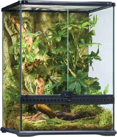 Exo Terra Rainforest Habitat Kit (includes PT2607) - Medium