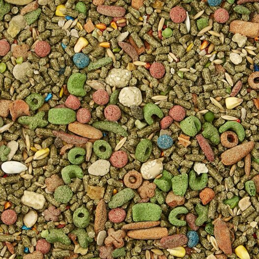 Kaytee Fiesta Guinea Pig Food(4.5 pounds)